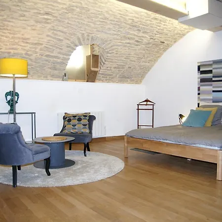 Duplex Caveau Bourguignon- Centre Historique Dijon *
